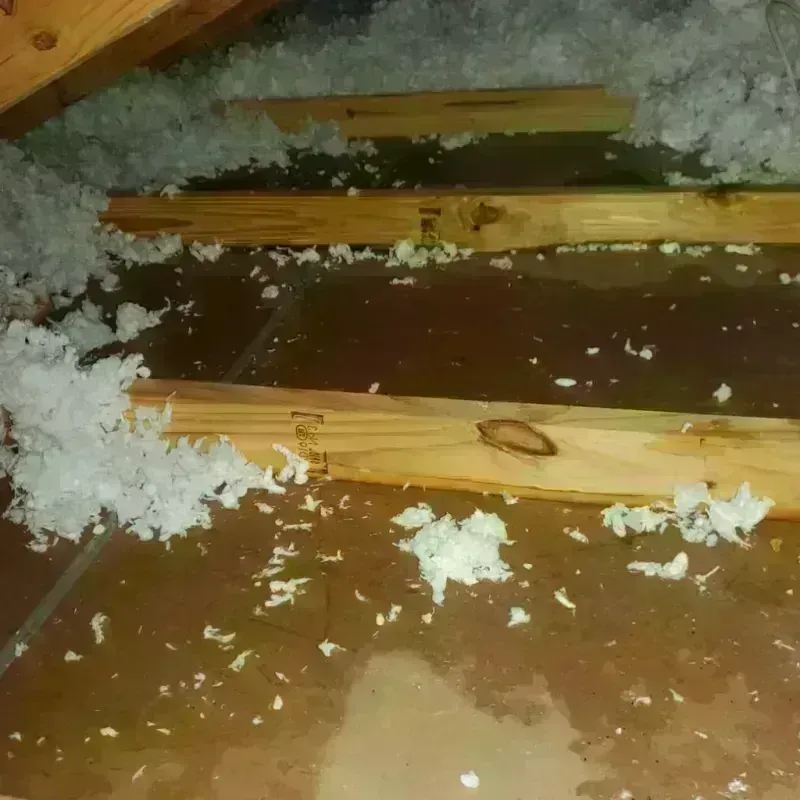 Attic Water Damage in Pacheco, CA